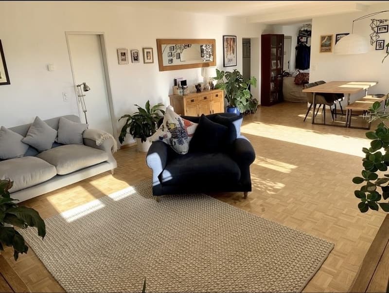 Spacious, Partially Furnished 2.5-Room Apartment in Central Zürich (3)