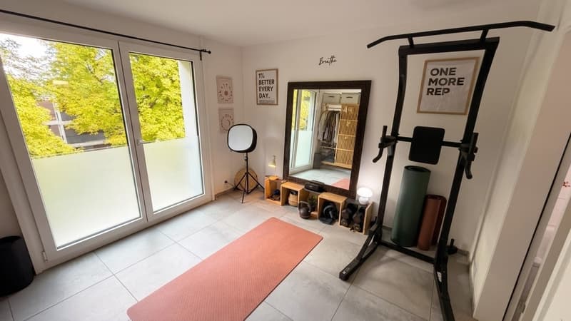 Helle, geräumige Dachwohnung mit grosser Terrasse (5)