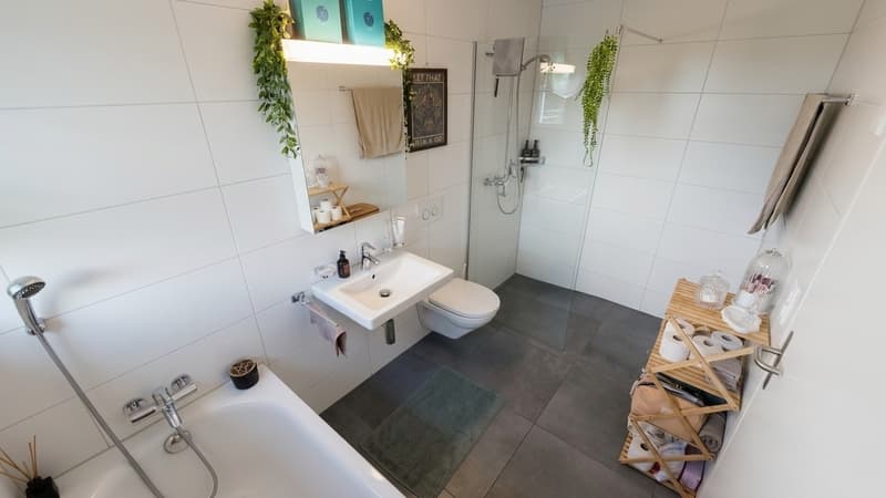 Helle, geräumige Dachwohnung mit grosser Terrasse (6)