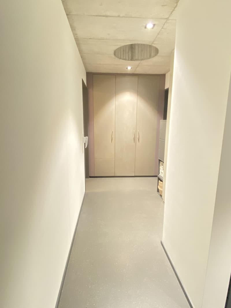 2er-WG: Moderner 3.5 Zimmer Attikawohnung, 100 m² mit riesiger Dachterrasse (Möbliert, Frau bevorzugt) (10)