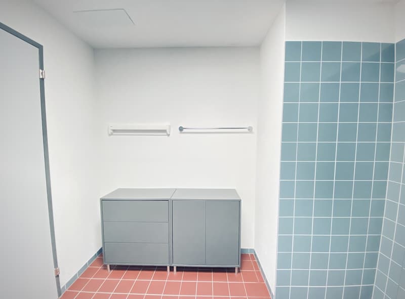 2er-WG: Moderner 3.5 Zimmer Attikawohnung, 100 m² mit riesiger Dachterrasse (Möbliert, Frau bevorzugt) (13)