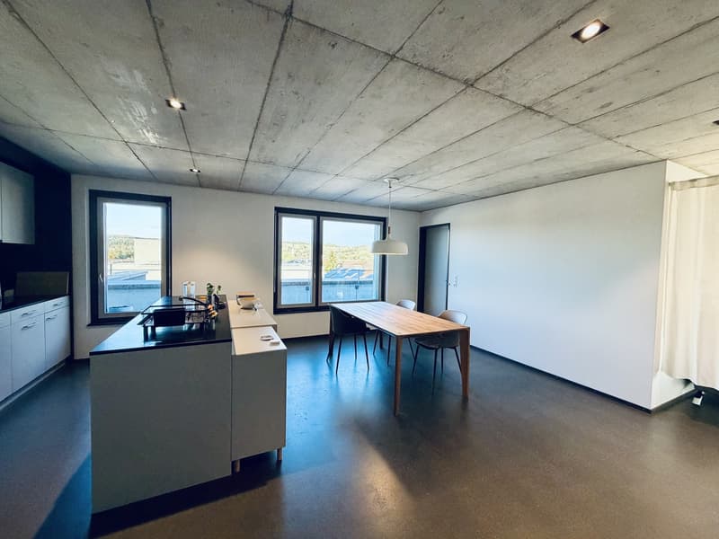 2er-WG: Moderner 3.5 Zimmer Attikawohnung, 100 m² mit riesiger Dachterrasse (Möbliert, Frau bevorzugt) (2)