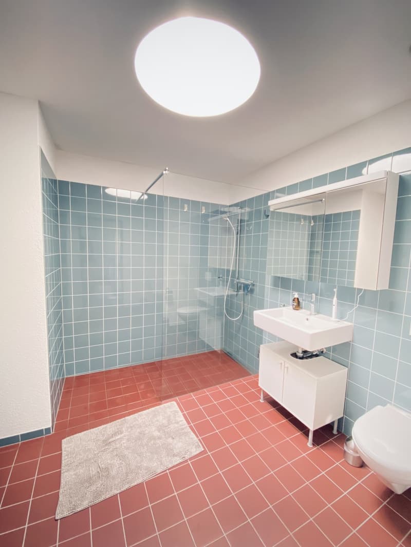 2er-WG: Moderner 3.5 Zimmer Attikawohnung, 100 m² mit riesiger Dachterrasse (Möbliert, Frau bevorzugt) (12)
