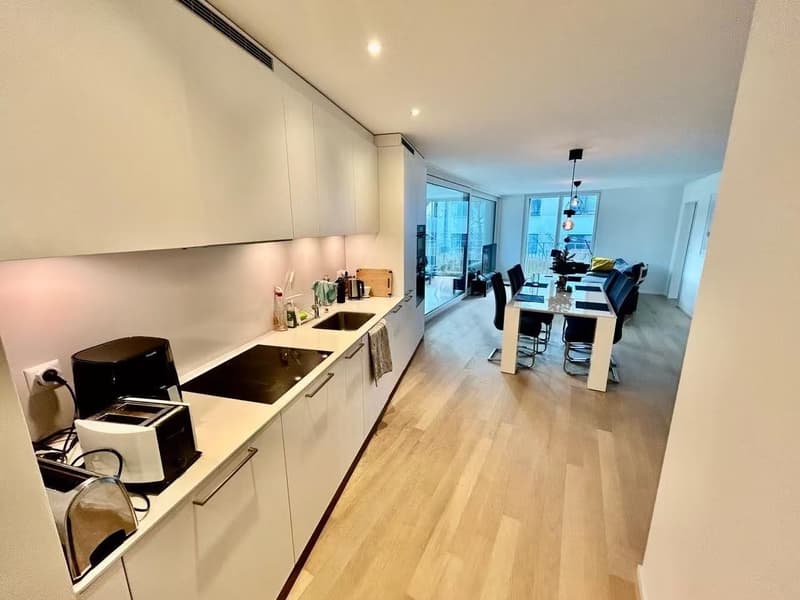 Two Furnished Rooms in a Modern New-Build Apartment in Zürich (2)
