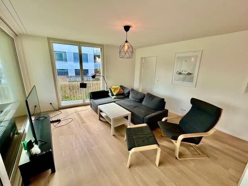 Two Furnished Rooms in a Modern New-Build Apartment in Zürich (4)