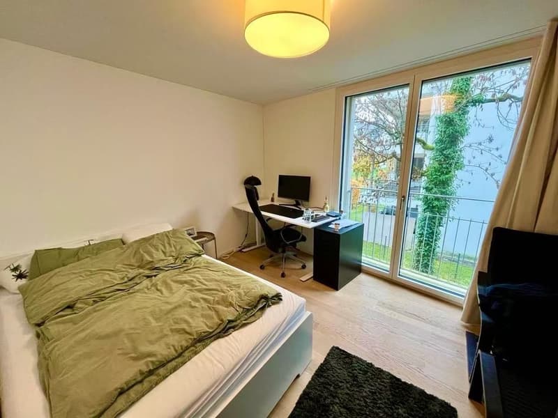 Two Furnished Rooms in a Modern New-Build Apartment in Zürich (5)