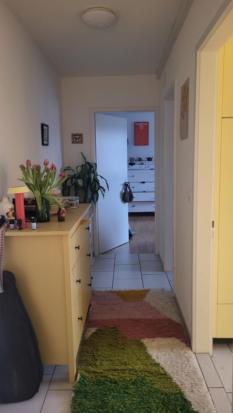 Befristet für 1 monat grosszügige 1.5 Zimmerwohnung (7)