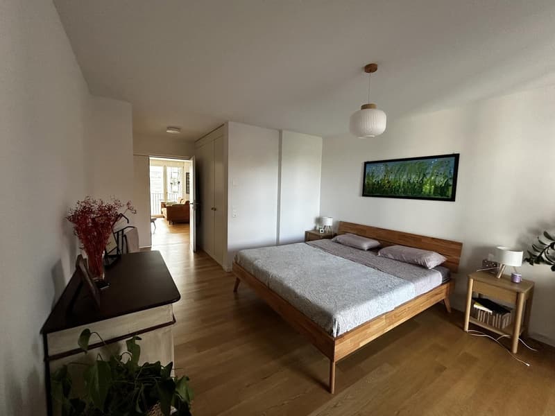 Möblierte 2.5 Zimmer Wohnung im Kreis 5 befristet November (13)