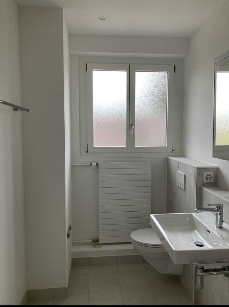 Temp Flat share (6)
