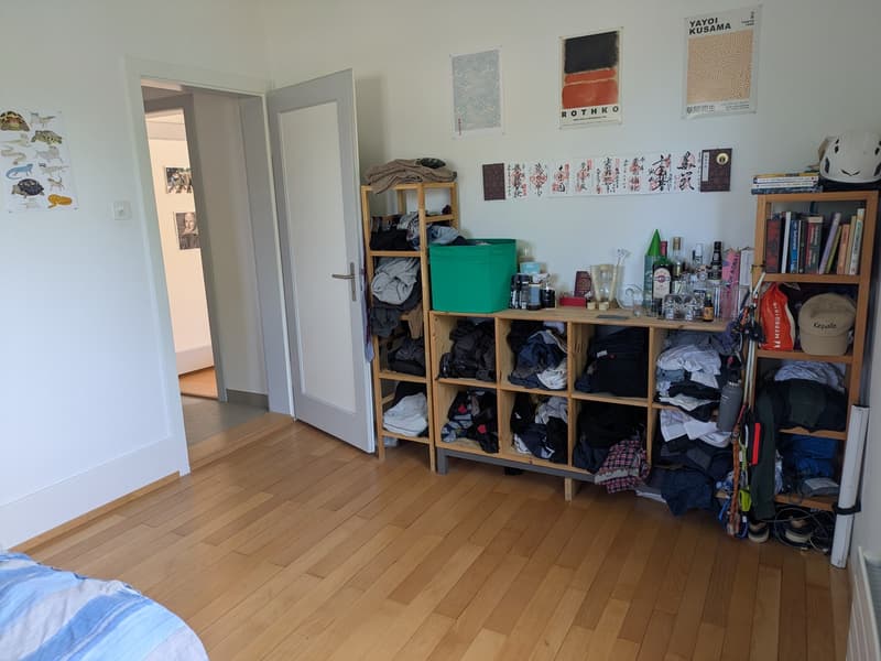 Temp Flat share (3)