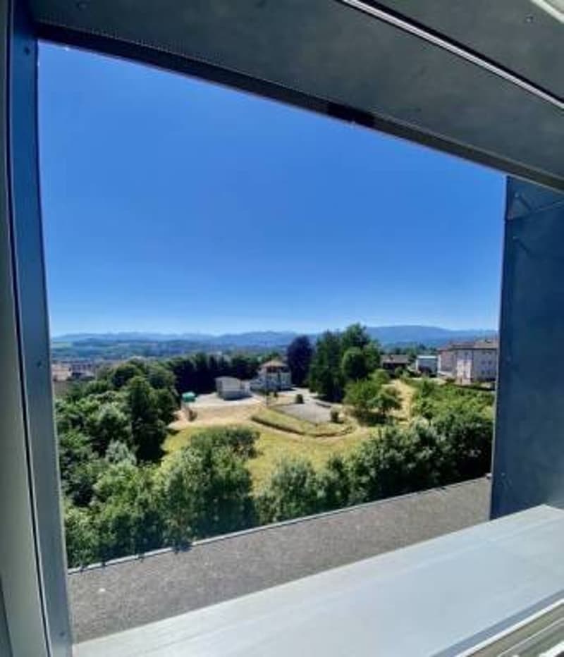 Appartement 3.5 pièces à louer Fribourg (quartier Bethléem) (3)