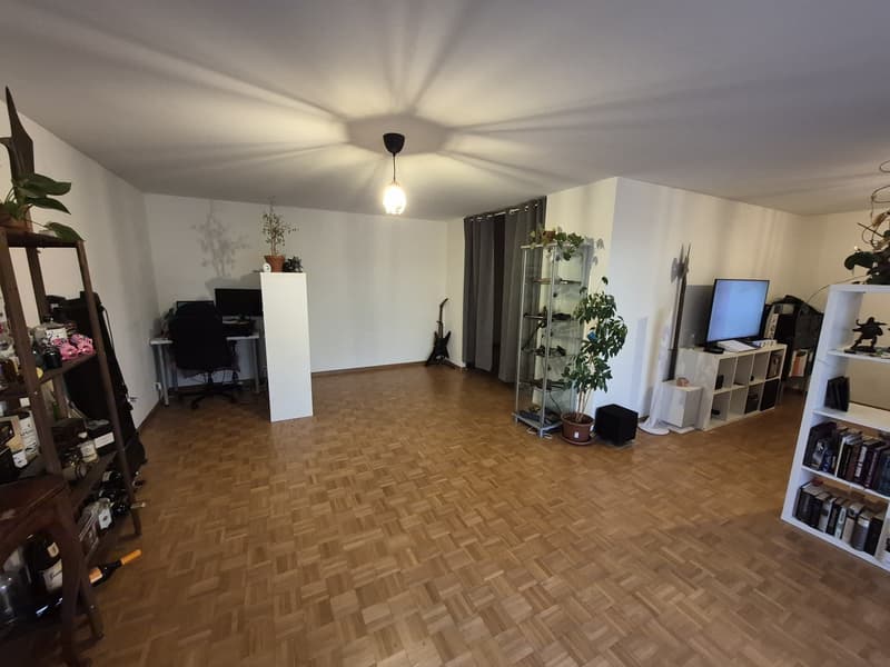 Umfassend sanierte 2.5-Zimmer-Wohnung mit grossem Balkon an ruhiger Lage in Bottmingen (3)