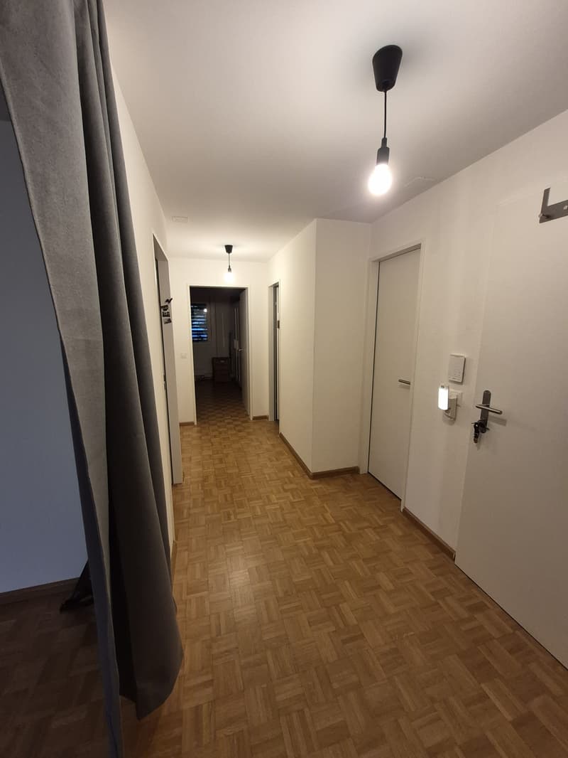 Umfassend sanierte 2.5-Zimmer-Wohnung mit grossem Balkon an ruhiger Lage in Bottmingen (8)