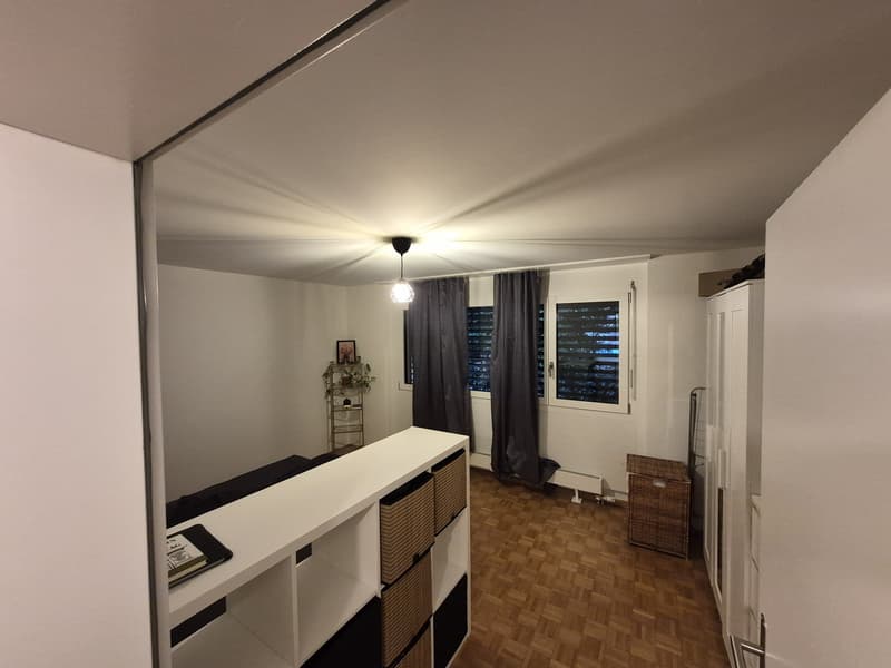 Umfassend sanierte 2.5-Zimmer-Wohnung mit grossem Balkon an ruhiger Lage in Bottmingen (5)