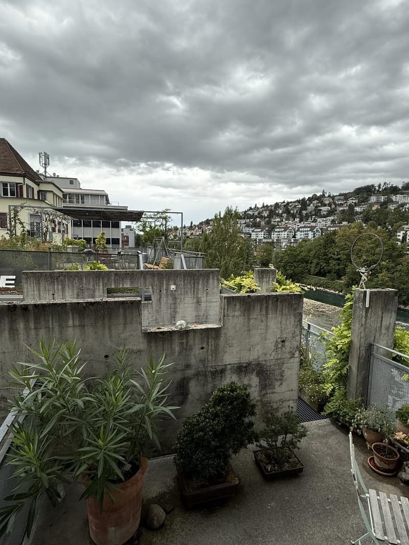 Temporary room by the Limmat | NovJan (3)