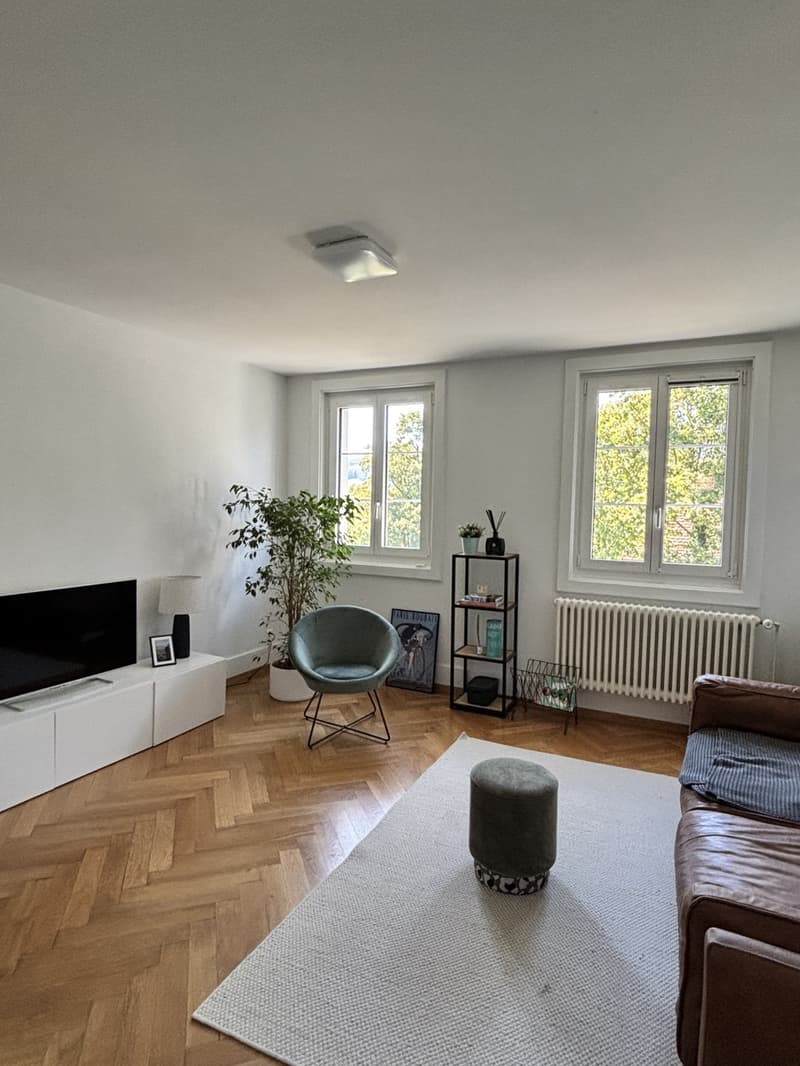 Charmante 3-Zimmer-Wohnung im Elfenau-Quartier Nachmieter gesucht (1)