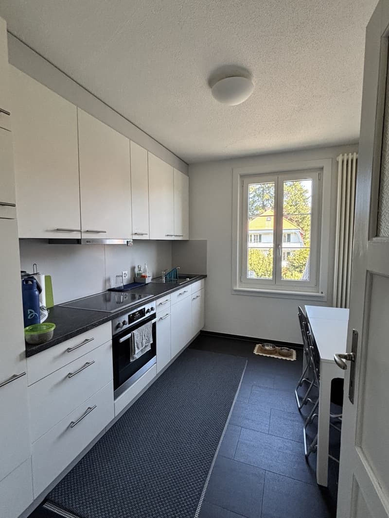 Charmante 3-Zimmer-Wohnung im Elfenau-Quartier Nachmieter gesucht (2)