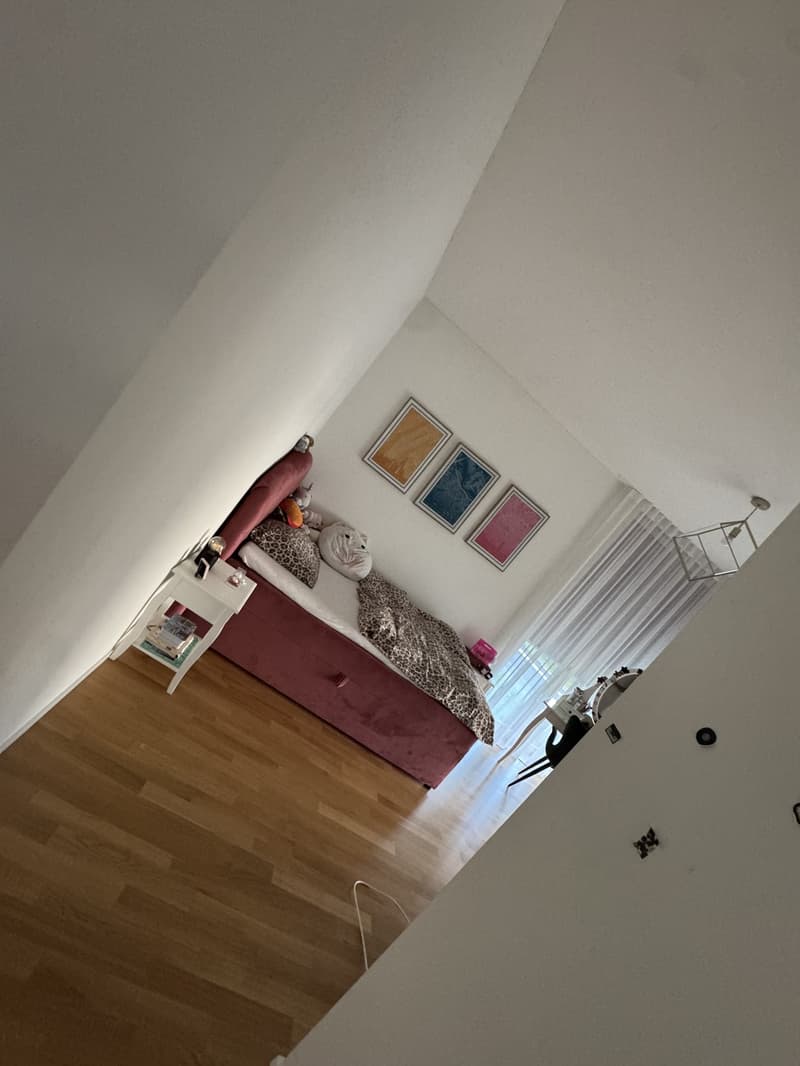 4.5 Zimmer Wohnung-Hausteil (11)
