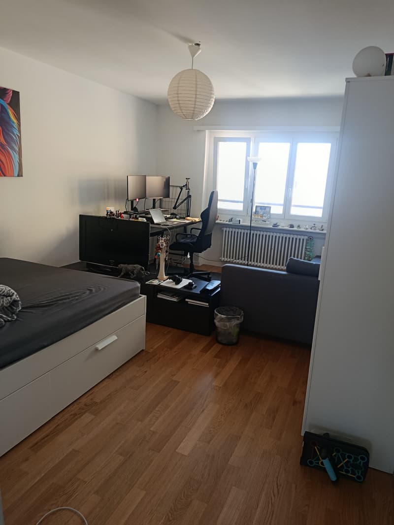Helle 2-Zimmer-Wohnung an zentraler Lage in Olten (3)