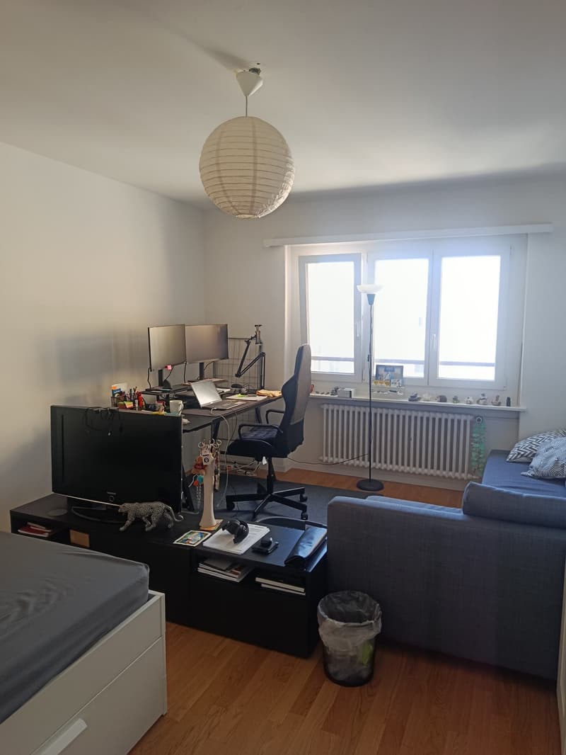 Helle 2-Zimmer-Wohnung an zentraler Lage in Olten (2)