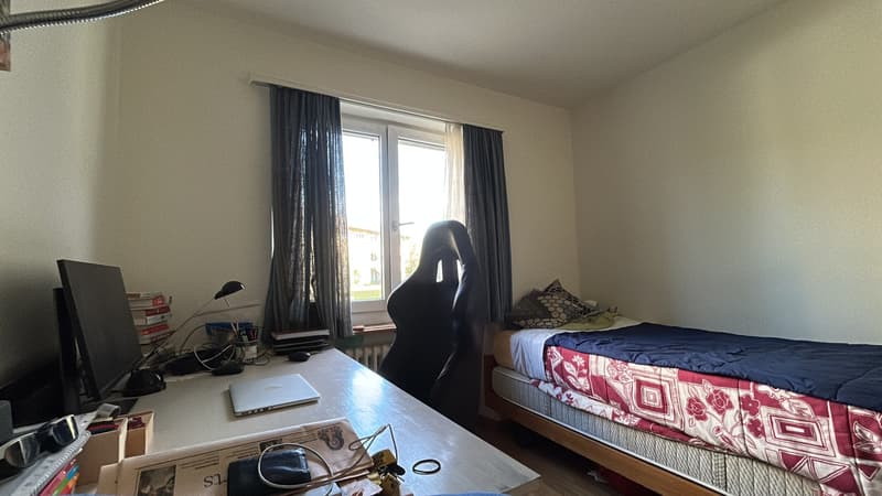 Cozy Room in a 3.5 Apartment in Wülflingen, Winterthur (3)