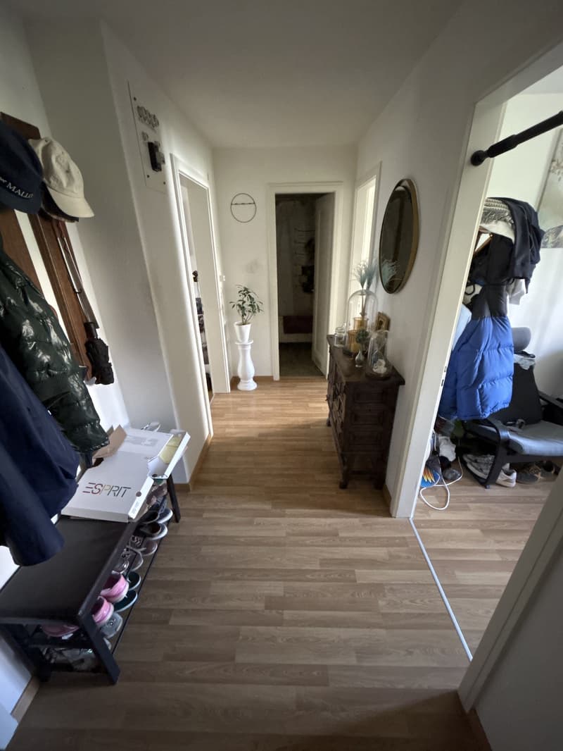 Cozy Room in a 3.5 Apartment in Wülflingen, Winterthur (4)