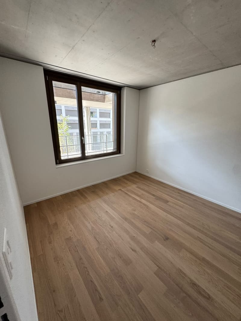 WG-Zimmer 12.6 m² in neuer 3.5-Zi-Wohnung, Tribschen Luzern, Erstbezug (5)