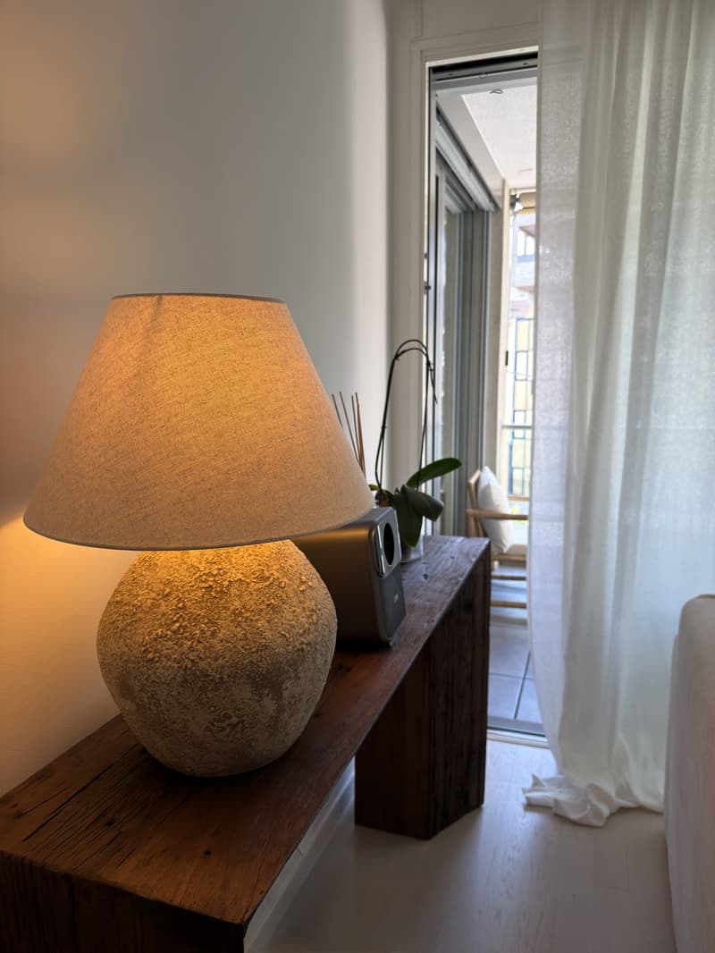 Appartamento 4.5 spazioso e arredato (6)