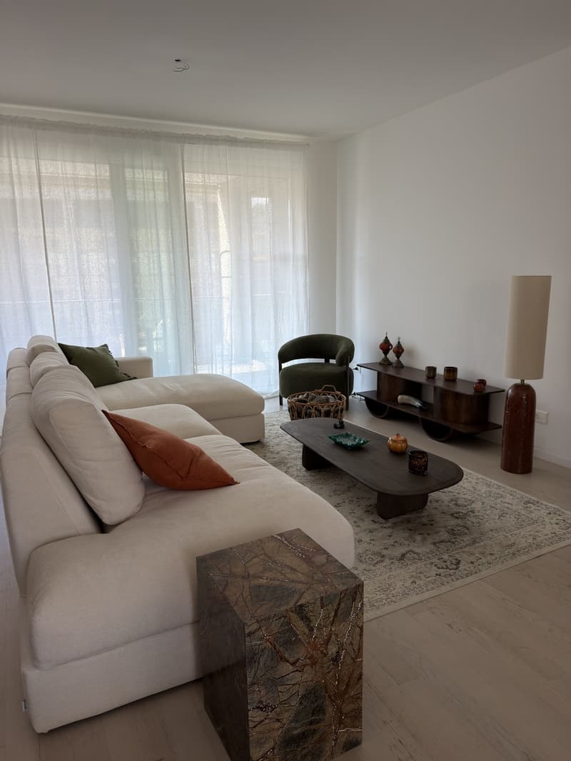 Appartamento 4.5 spazioso e arredato (3)