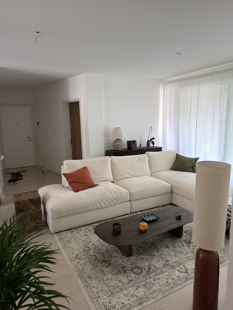 Appartamento 4.5 spazioso e arredato (1)
