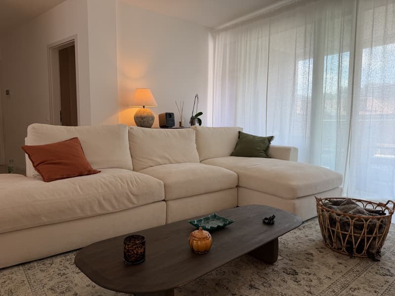 Appartamento 4.5 spazioso e arredato (2)