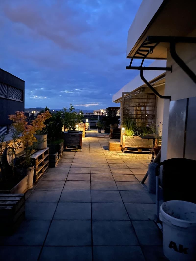 Grossräumige Attika-WG mit Terrasse (5)