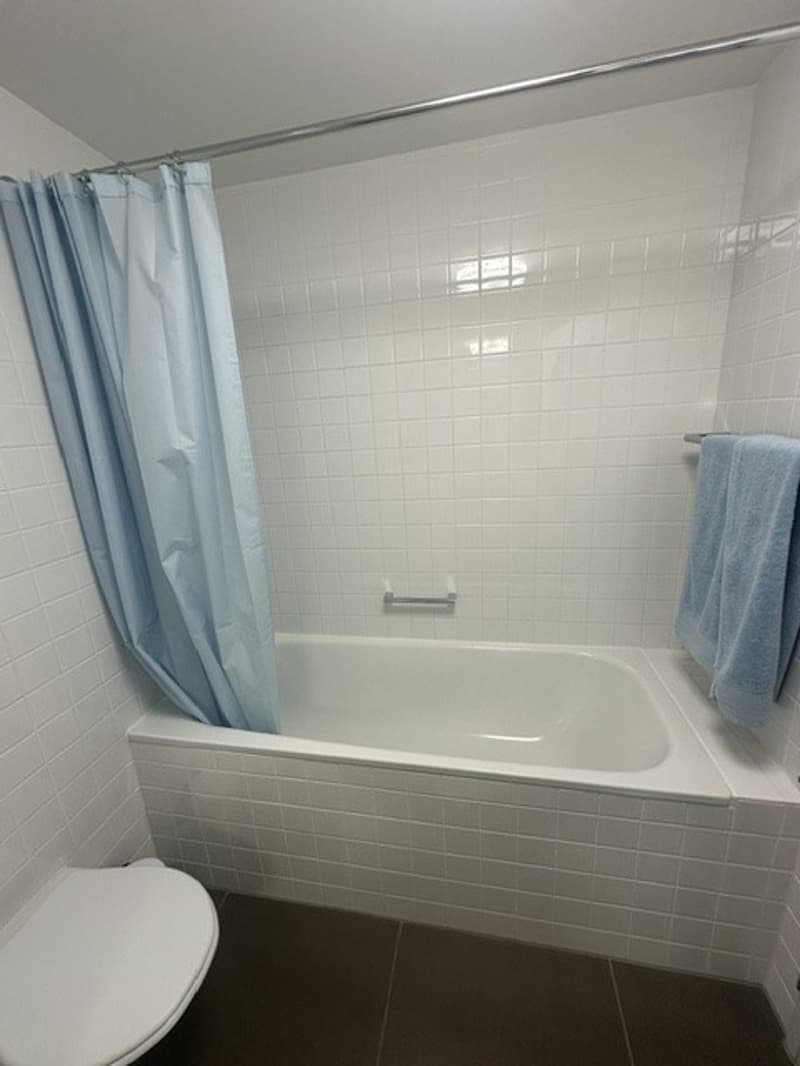 Möblierte 2.5-Zimmer-Wohnung im Seefeld zur befristeten Untermiete (7)