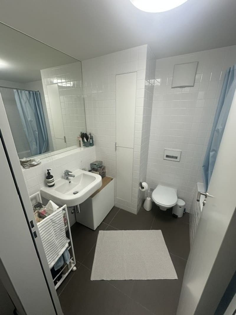 Möblierte 2.5-Zimmer-Wohnung im Seefeld zur befristeten Untermiete (6)