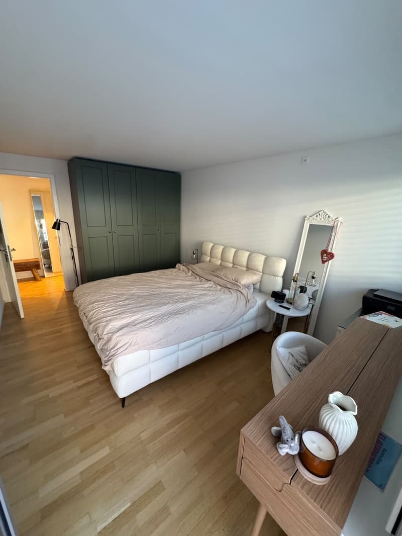 Modern Furnished Apartment in Prime Location Zurich Stauffacher (8)