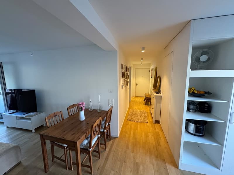 Modern Furnished Apartment in Prime Location Zurich Stauffacher (4)