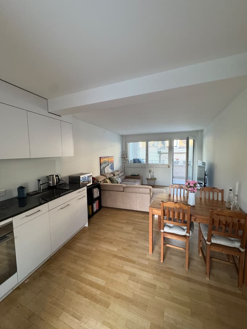 Modern Furnished Apartment in Prime Location Zurich Stauffacher (5)