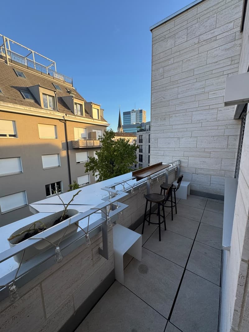 Modern Furnished Apartment in Prime Location Zurich Stauffacher (7)