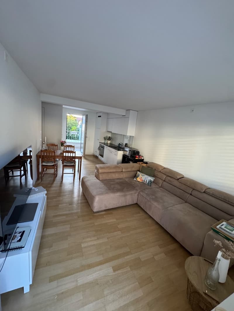 Modern Furnished Apartment in Prime Location Zurich Stauffacher (3)
