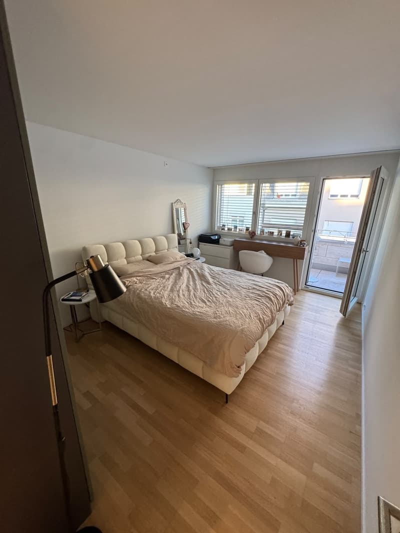Modern Furnished Apartment in Prime Location Zurich Stauffacher (9)