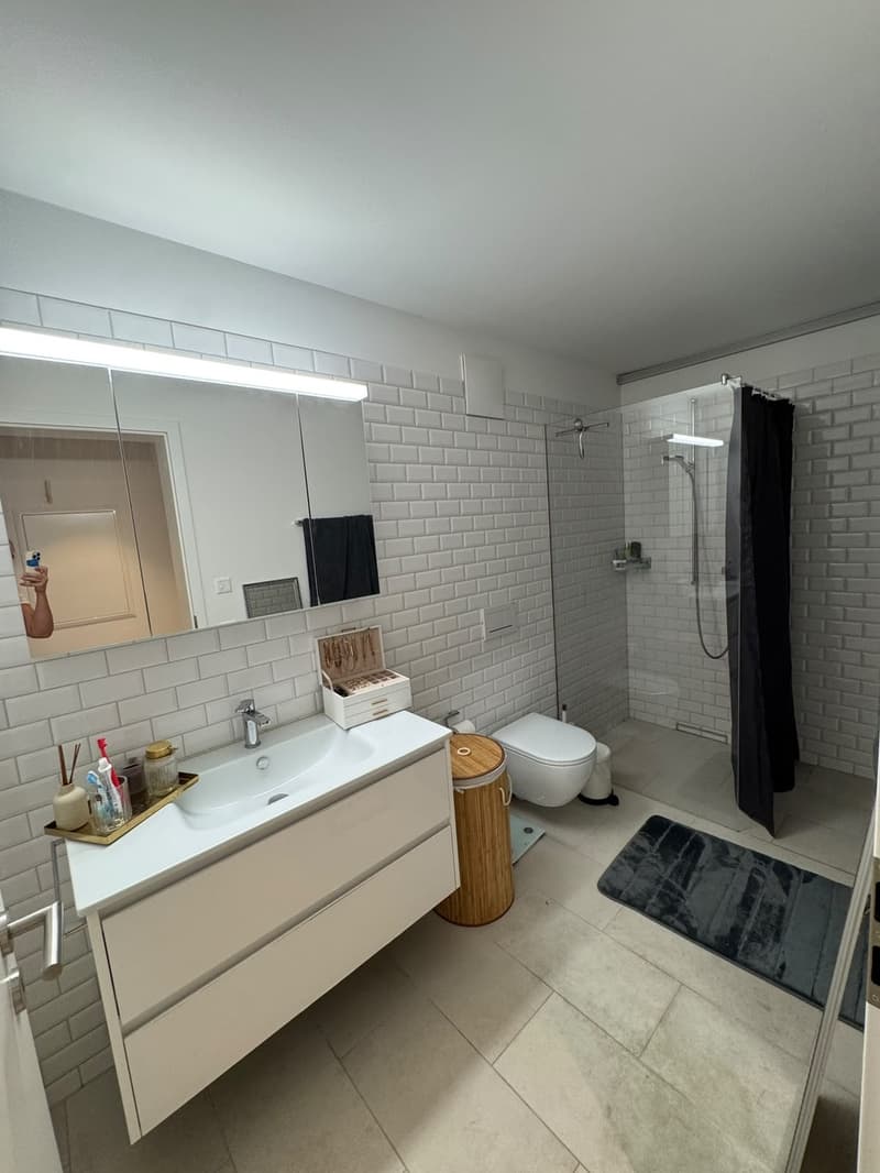 Modern Furnished Apartment in Prime Location Zurich Stauffacher (11)