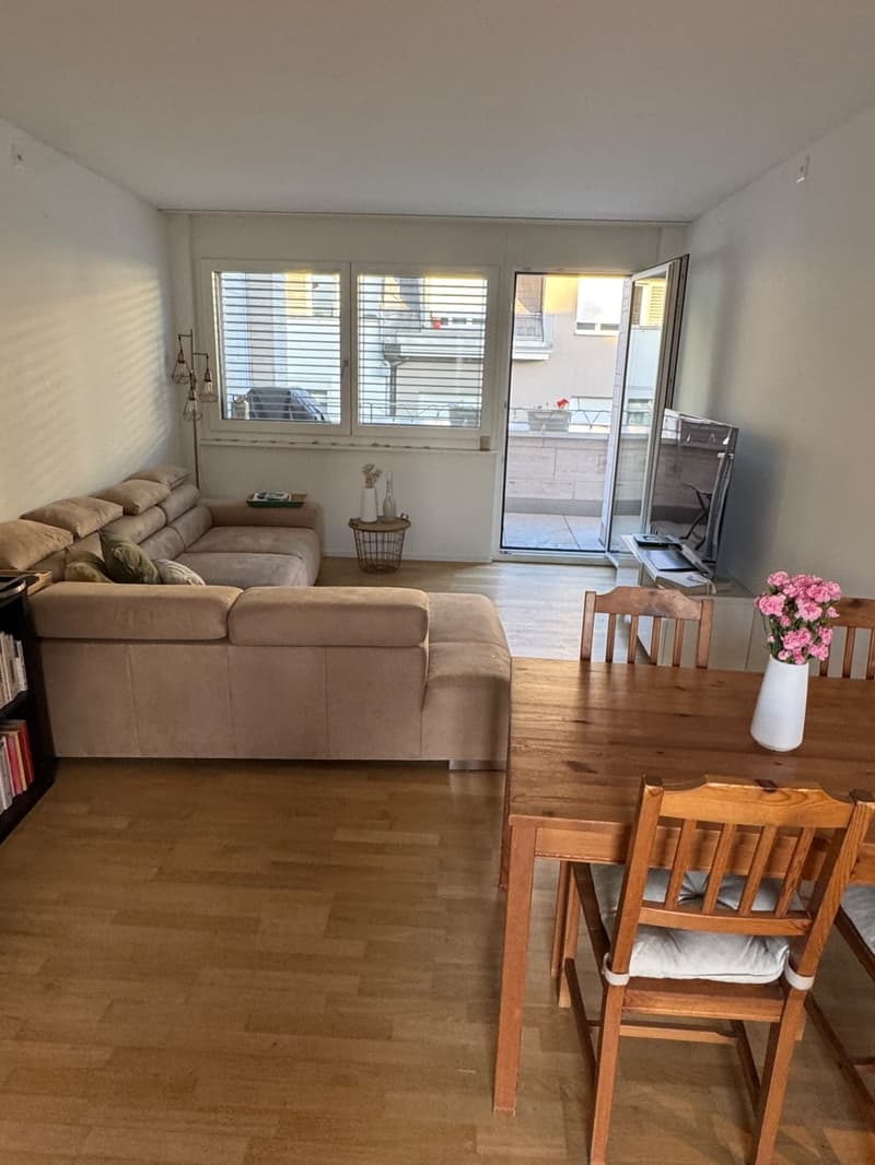 Modern Furnished Apartment in Prime Location Zurich Stauffacher (1)