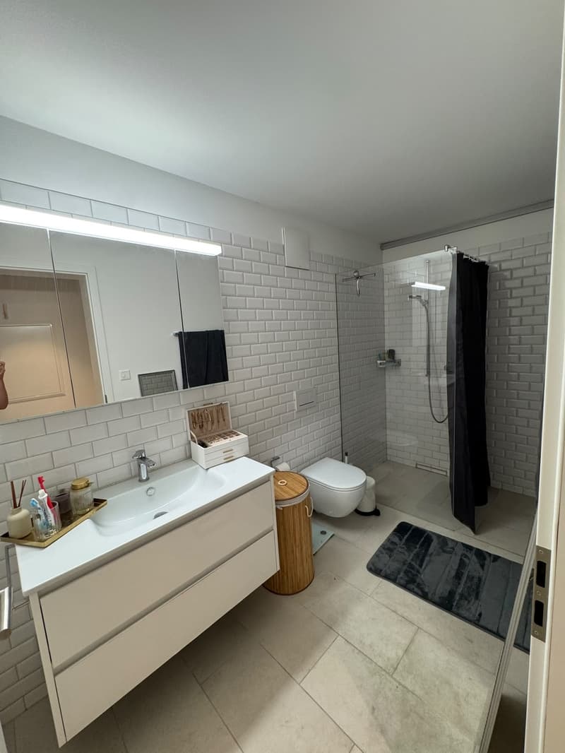 Modern Furnished Apartment in Prime Location Zurich Stauffacher (10)
