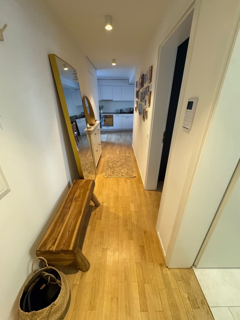 Modern Furnished Apartment in Prime Location Zurich Stauffacher (12)