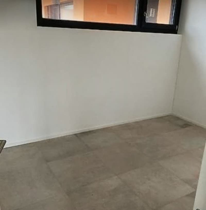 CERCASI SUBENTRANTE  Spazioso e moderno 4.5 locali con terrazza coperta  Serocca d'Agno (5)