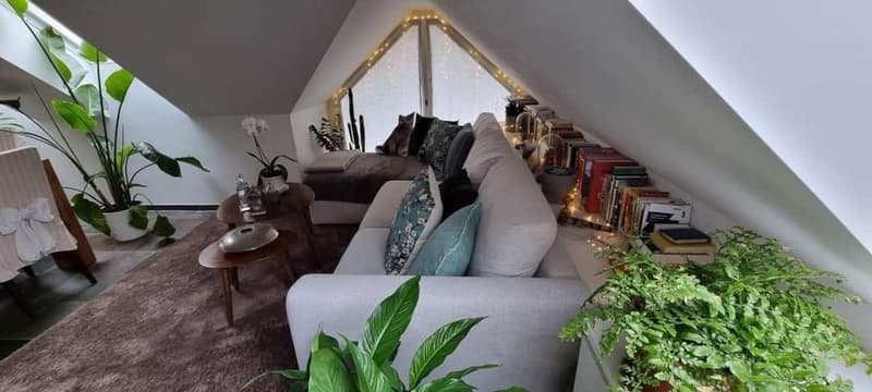 Temporäres Zimmer in Kilchberg mit Zugang zur Attikawohnung & Seeblick / ab 1.10.2026 - max. 31.12.2026 (evt. Option auf Verlängerung) (3)
