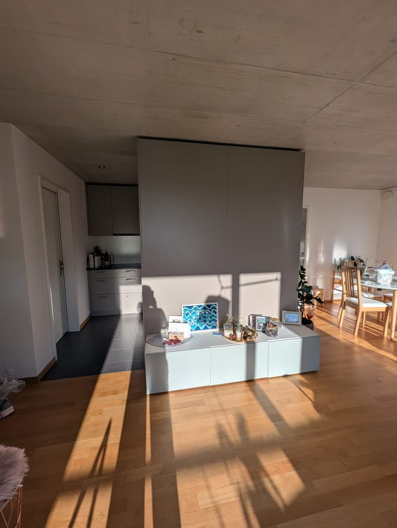 Untermiete - moblierte stilvolle 3.5-Zimmer-Wohnung in Zürich Affoltern (6)