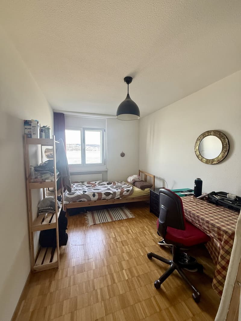 Room avaiable in Wädenswil (1)
