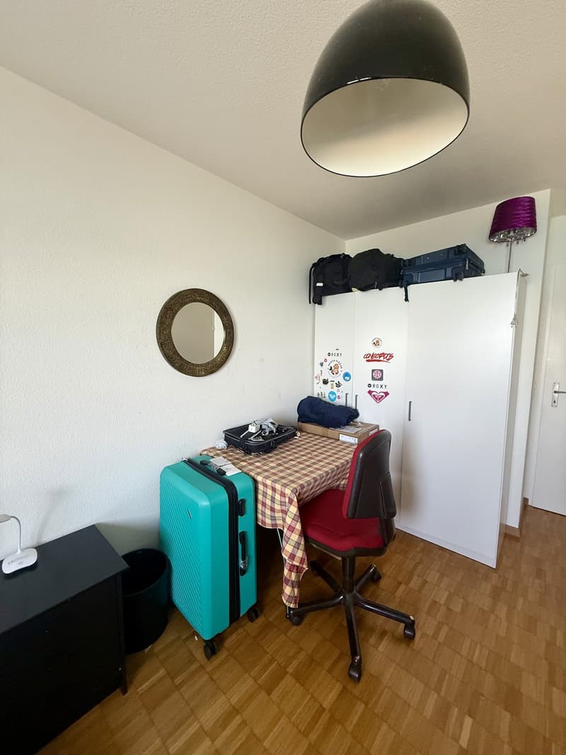 Room avaiable in Wädenswil (2)
