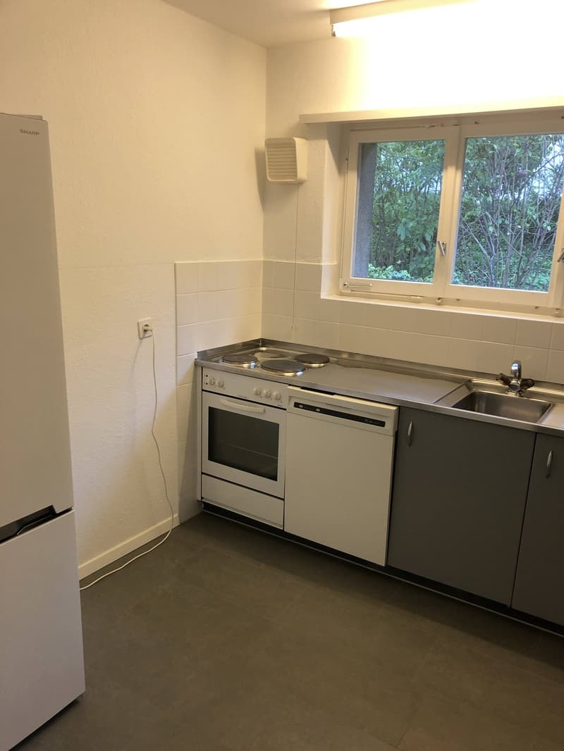 Bright 4-Room Apartment with Large Balcony & Beautiful Lägern Views Replacement Tenant Wanted (5)